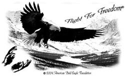 2003 Flight for Freedom
